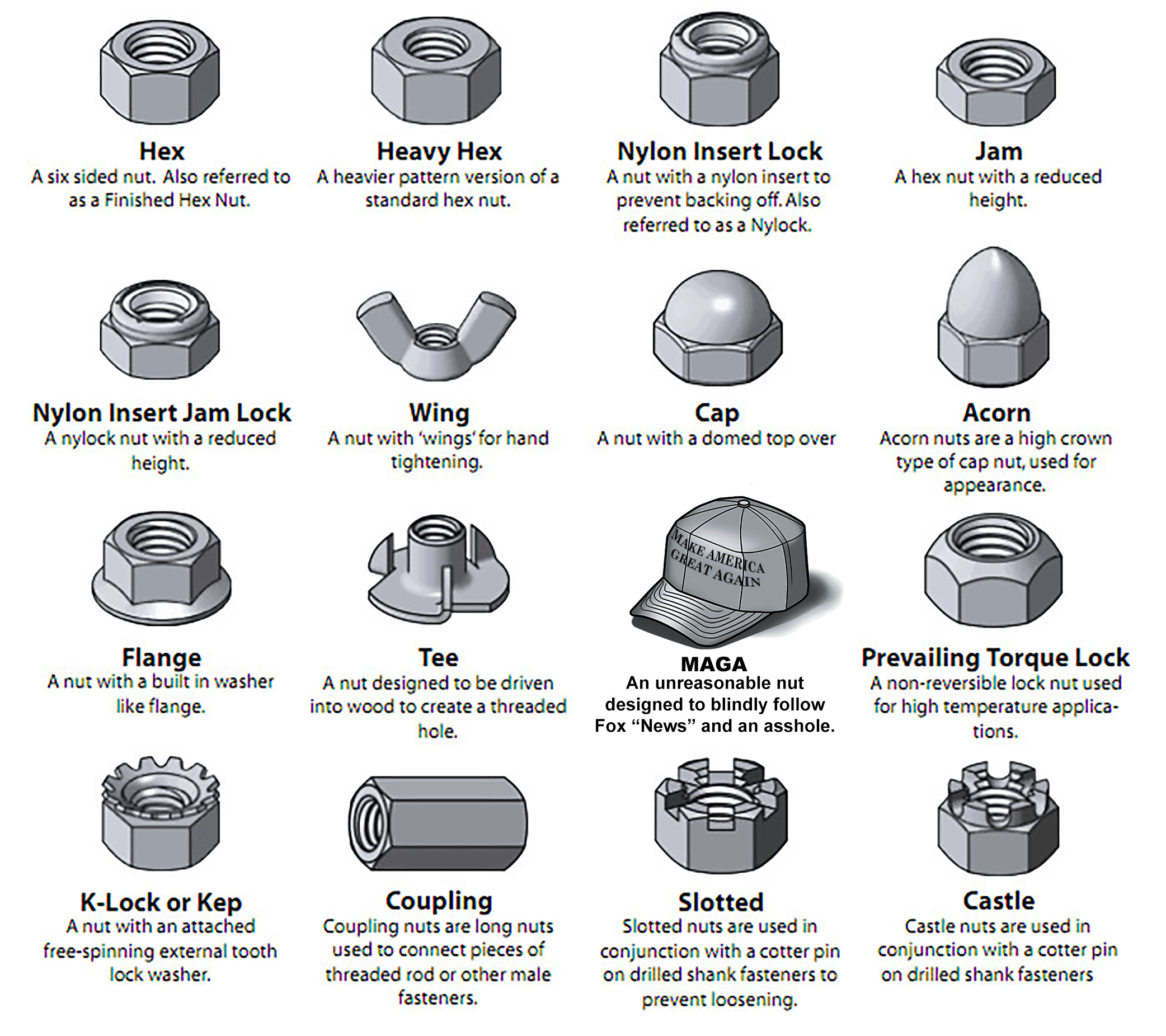An informative illustration showing various types of nuts used in hardware, each labeled with its name and a brief description.